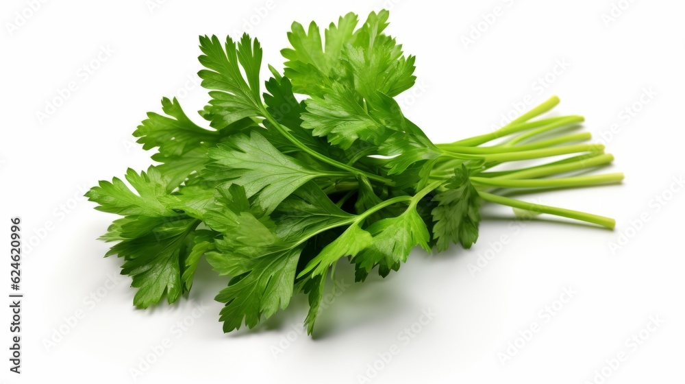 Food photography background banner - kitchen herb, coriander, isolated on white background (Generative Ai) Food photography background banner - kitchen herb, coriander, isolated on white background (Generative Ai)