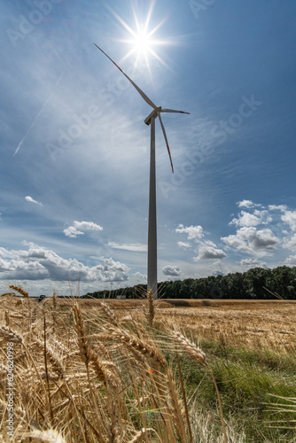 Wind energy sun renew clean corn field farmland electricity