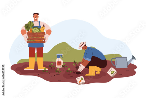 Farm or greenhouse workers picking vegetables flat vector illustration isolated.