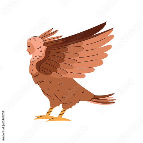 Siren Greek mythical creature cartoon vector illustration, woman head and bird body, fantasy medieval era characters