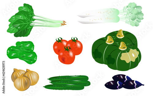 使える夏の野菜のイラストセット