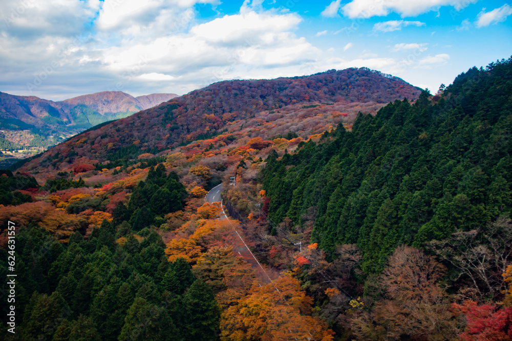 autumn landscape in Hakone Japan, driveway over the hills or mountains autumn landscape in Hakone Japan, driveway over the hills or mountains