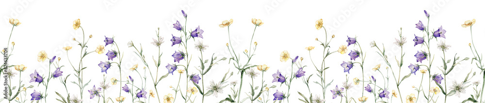 Close-up of blue spreading bellflower flowers frame. Campanula patula, bell, bluebell, rapunzel. Rabelera holostea, stellaria.Watercolor hand painting illustration. White and blue, violet flower - obrazy, fototapety, plakaty 