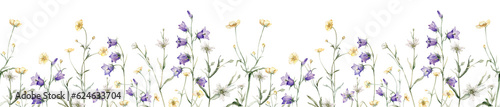 Close-up of blue spreading bellflower flowers frame. Campanula patula, bell, bluebell, rapunzel. Rabelera holostea, stellaria.Watercolor hand painting illustration. White and blue, violet flower photo