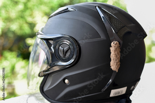 Insect nest on the black helmet