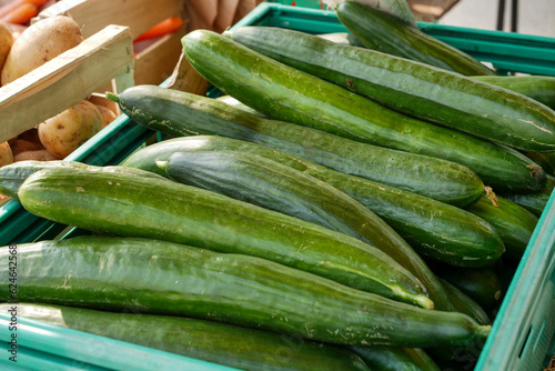 organic green cucumber on market place