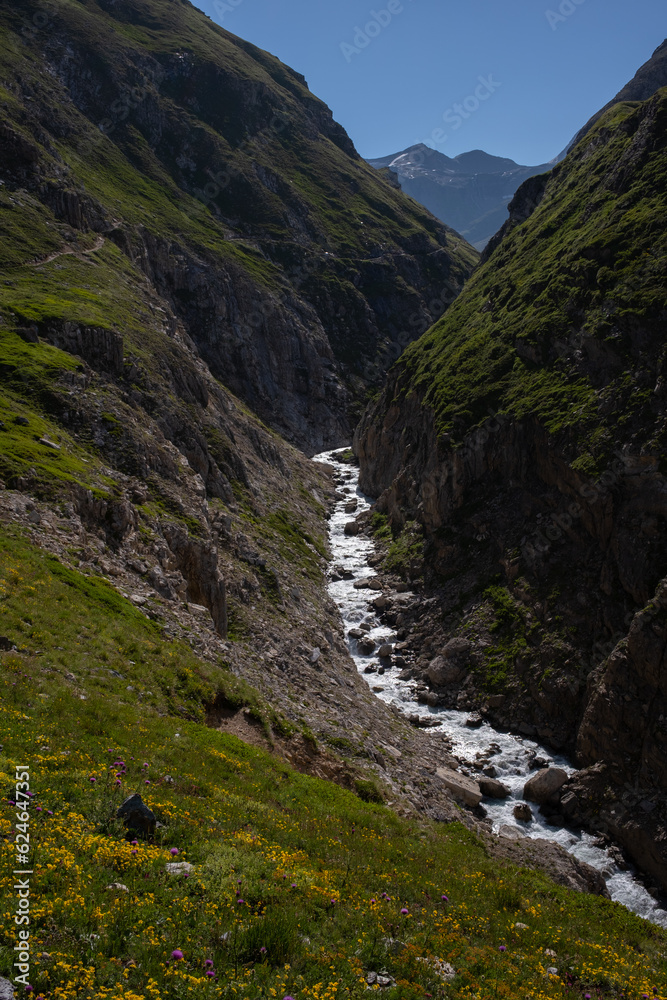 Un torrent de montagne des alpes coule le long d'une vallée profonde et se reflete au soleil.
