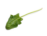 Spinach leaf on a white background close-up, top view.