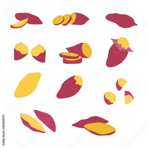 Vector colorful set of purple sweet potatoes isolated on white backgrouns. Batata or yam with red skin, cartoon vegetables used for poster, website, brochure, tag