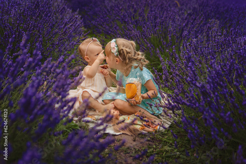 two sisters on a picnic in a lavender field