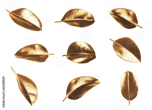 Collage with beautiful gold painted leaves of Ficus Elastica plant on white background