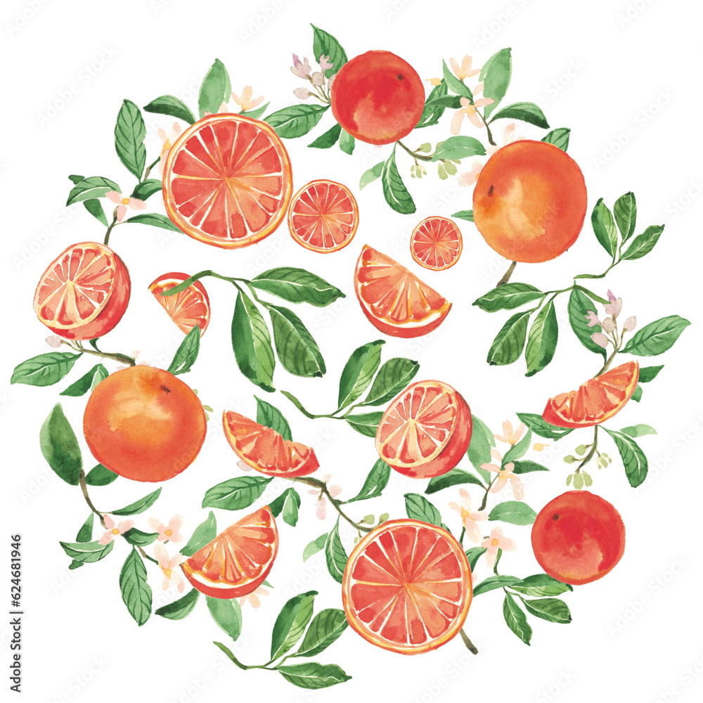 frame of orange frame of orange