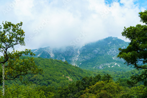 beautiful landscape in the mountains, clouds, forest on the hillsides