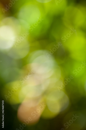 green bokeh abstract background