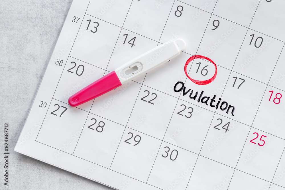 Female ovulation day on calendar with pregnancy test Female ovulation day on calendar with pregnancy test