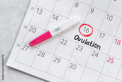 Female ovulation day on calendar with pregnancy test