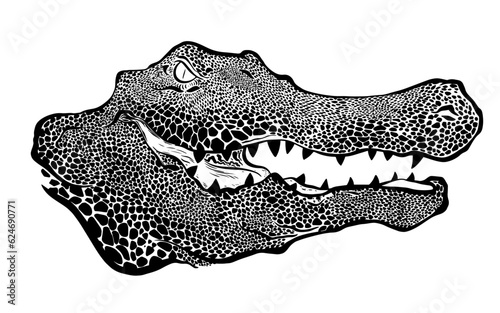Graphical ink hand drawn crocodile alligator predator detailed isolated on white background, vector illustration eps 10