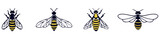 Wasp icons set. Outline set of wasp vector icons for web design isolated on white background