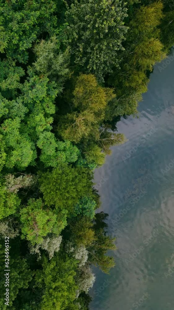 Aerial drone top down view of lake among forest in summer day. Vertical video background, High quality 4k footage Aerial drone top down view of lake among forest in summer day. Vertical video background, High quality 4k footage