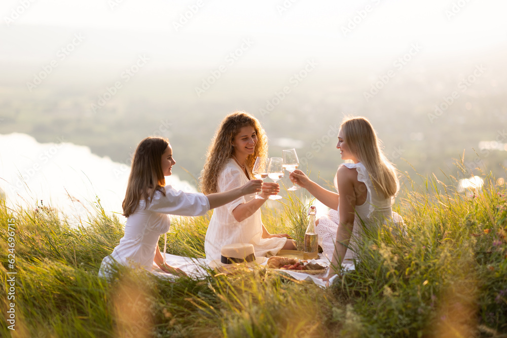 Girlfriends had fun spending time together at summer picnic. Three women friends communicate at a picnic in the summer in the park.