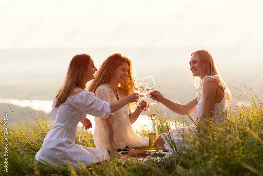 Cheerful girlfriends with glasses of wine looking at each other with smile and clinking glasses during summer picnic on the hill.