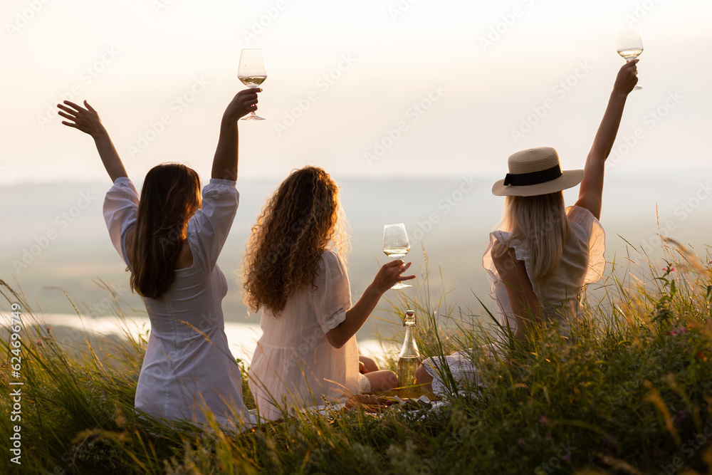 Back view of girlfriends in stylish summer clothes raising arms with wine at sunset during picnic in summer park-