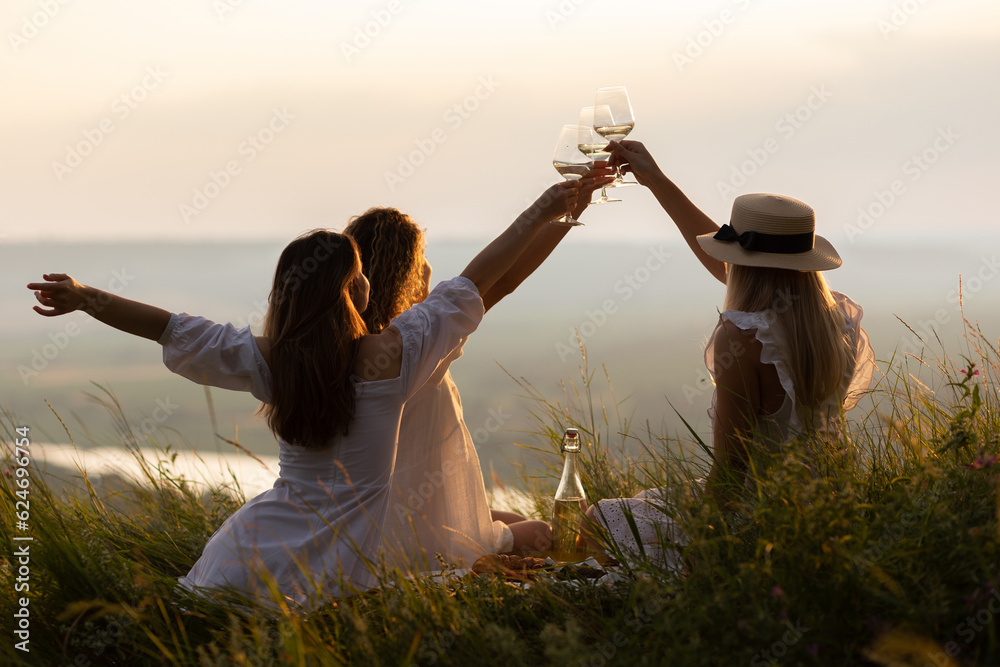 The company of female friends enjoys a summer picnic and raise glasses with wine.