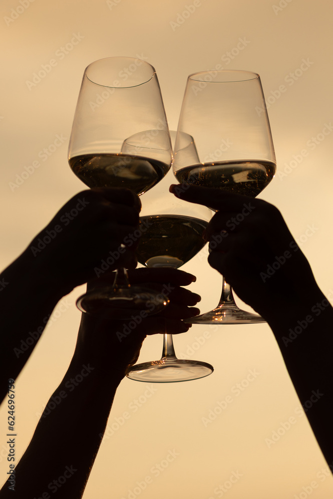 Silhouettes of hands of girls holding glasses of wine making a toast at the nature picnic on summer sunset.