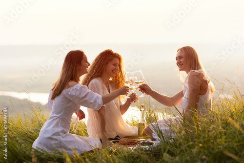 Obraz na płótnie Cheerful girlfriends with glasses of wine looking at each other with smile and clinking glasses during summer picnic on the hill.
w salonie
