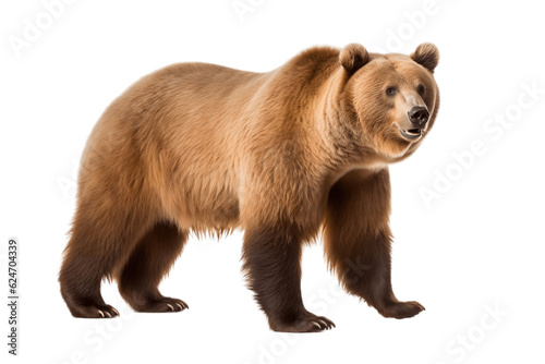 A Bear Isolated on a Transparent Background. Generative AI © Haider