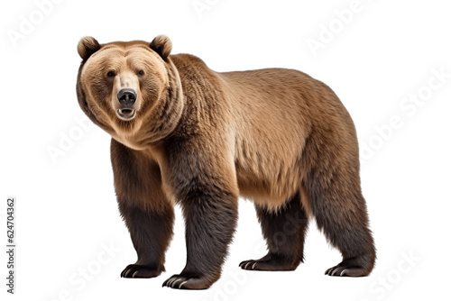 A Bear Isolated on a Transparent Background. Generative AI