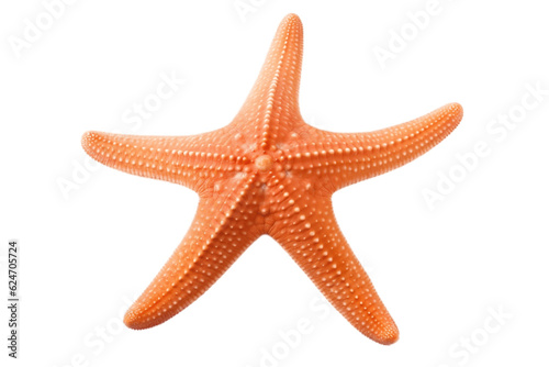 Isolated Starfish Ocean Marine Animal on Transparent Background. Generative AI