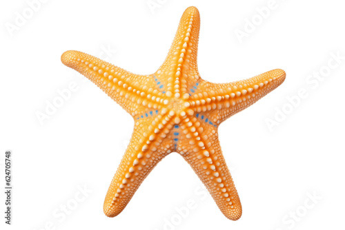 Isolated Starfish Ocean Marine Animal on Transparent Background. Generative AI