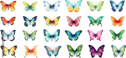 Watercolor set of bright vector hand painted butterflies white background