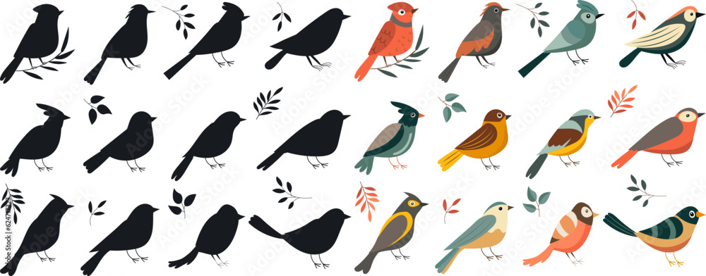 set of birds of different breeds in flat style vector