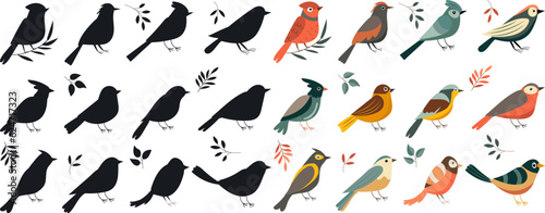 set of birds of different breeds in flat style vector © zolotons