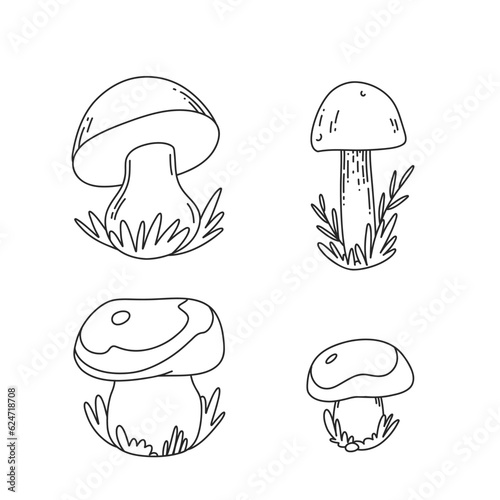 Mushroom doodle set. Mushrooms hand drawn sketch