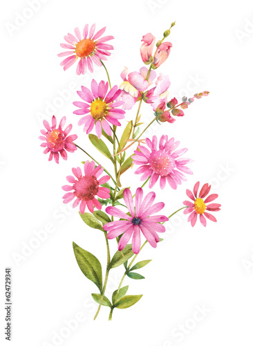 Watercolor flowers. Bouquet of pink chrysanthemums