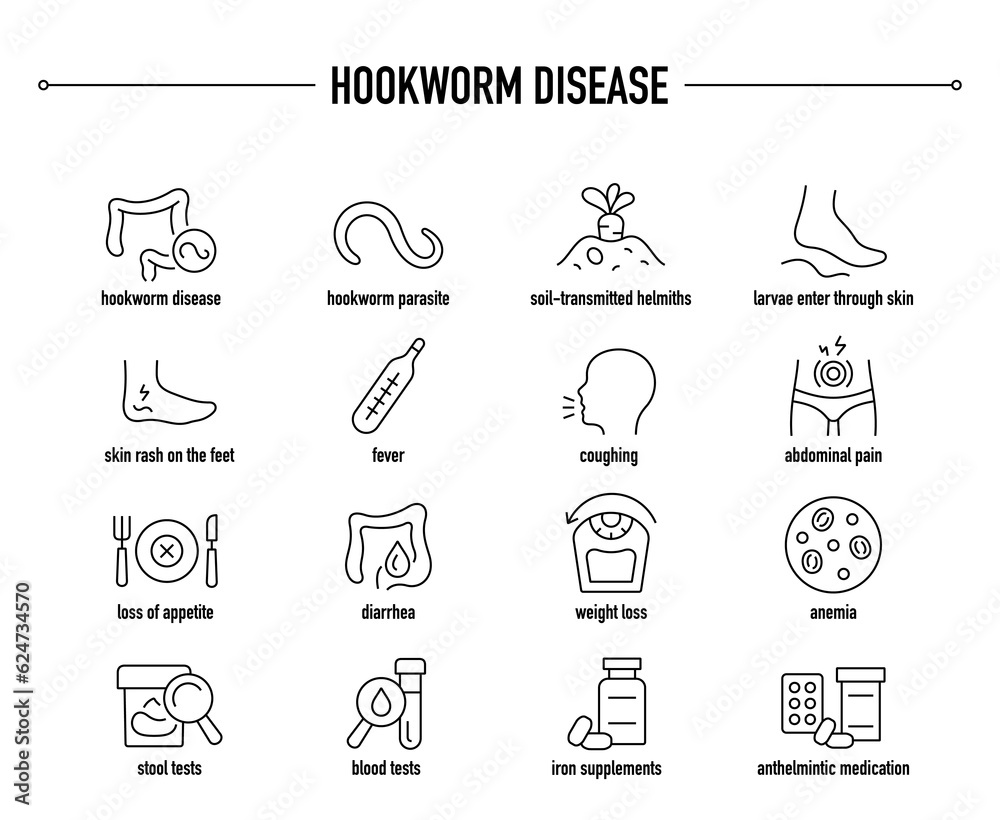 Hookworm Disease symptoms, diagnostic and treatment vector icon set. Line editable medical icons.
