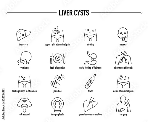 Liver Cysts symptoms, diagnostic and treatment vector icon set. Line editable medical icons.