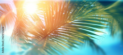 Abstract blur defocused background, toned gently blue, nature of tropical summer, rays of sun light © MUS_GRAPHIC