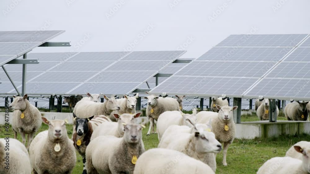 Solar panels in The Netherlands