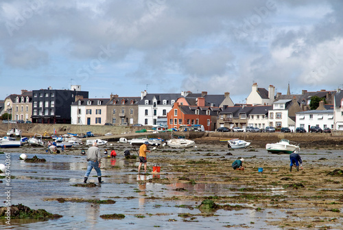Pêche aux coques et palourdes. Port Louis, 56, Bretagne, Morbihan, France