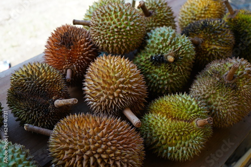Durian is the name of a tropical plant originating from the Southeast Asian region  as well as the name of its edible fruit. This name is taken from the characteristics of the fruit skin which is hard