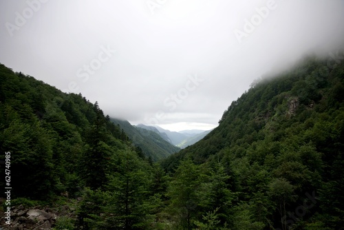 Paysage Ariège nuage forêt montagne brouillard