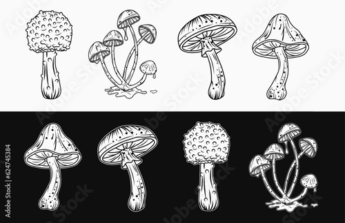 Set of black and white mushroom illustrations. Good for fairytale, groovy, hippie, mystical style