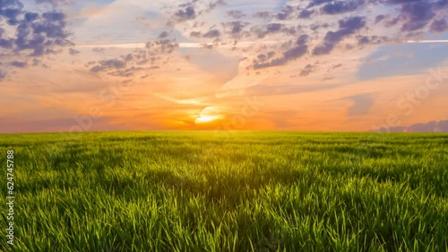  green summer rural field  at the sunset, countryside agricultural natural landscape time lapse scene