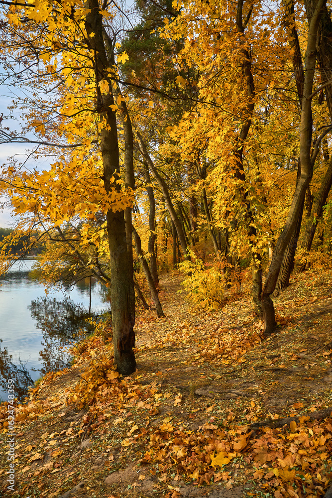 Beautiful autumn calm nature landscape.Sunny autumn scene with land covered by orange and red leaves in empty park.Concept of beauty of autumn nature. Beautiful autumn calm nature landscape.Sunny autumn scene with land covered by orange and red leaves in empty park.Concept of beauty of autumn nature.