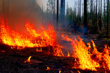 Wildfire. Wildfire in British Columbia. Canada. Forest fire. Forest fire in progress. Fire. Large flames. Maui. Hawaii. Kelowna. Yellowknife. Tenerife. Spain. Candelaria. Spokane. Washington. Canadian