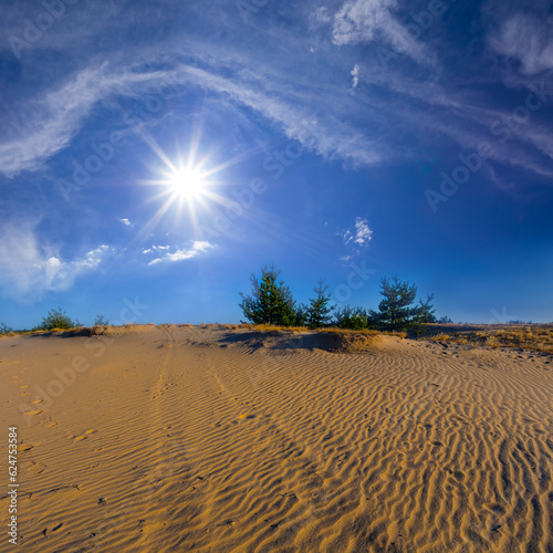 sandy desert landscape at the summer sunny day